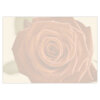 etiquettes-rose-rouge