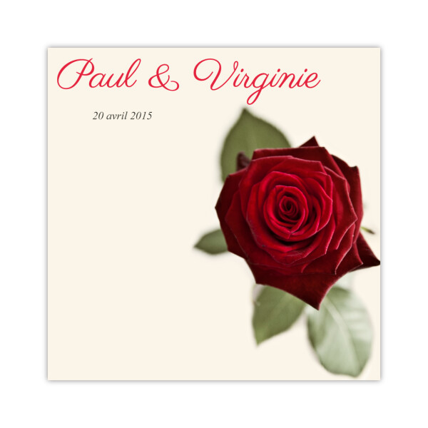 Remerciements Rose rouge carré